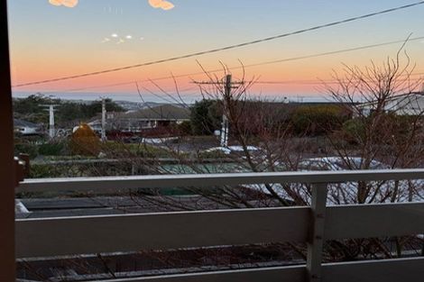 Photo of property in 19 Sheen Street, Roslyn, Dunedin, 9010