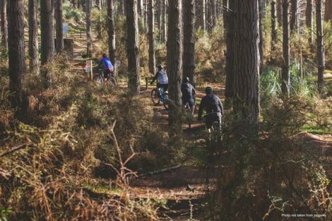 Photo of property in 114 Solan Drive, Waimauku, 0812