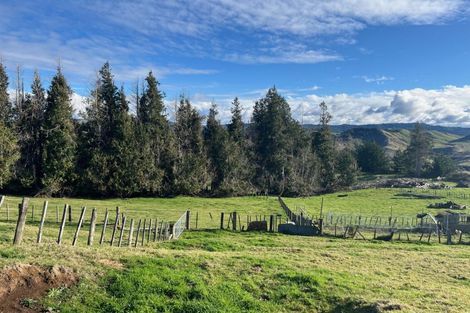 Photo of property in 26 Hukaroa Road, Raetihi, 4632