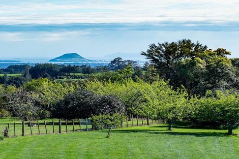 Photo of property in 354 Glue Pot Road, Oropi, Tauranga, 3173