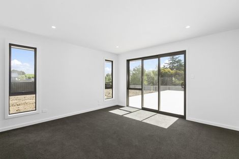 Photo of property in 4 Chatham Street, Waihola, Milton, 9073