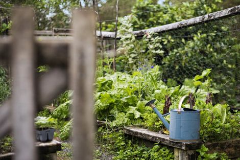 Photo of property in 200 Waiteitei Road, Wellsford, 0974