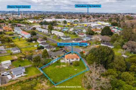 Photo of property in 29 Larsen Street, Otara, Auckland, 2025