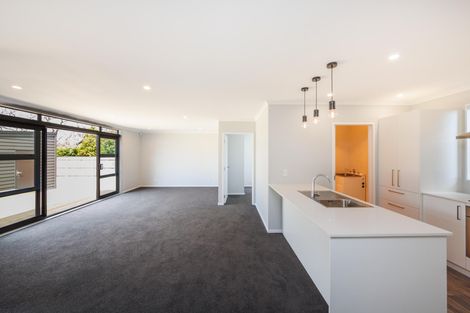 Photo of property in 168 Maxwells Line, Awapuni, Palmerston North, 4412