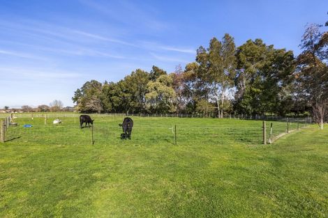 Photo of property in 502c Tauwhare Road, Matangi, Hamilton, 3284