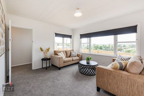 Photo of property in 100 Hastings Street, Halcombe, 4779