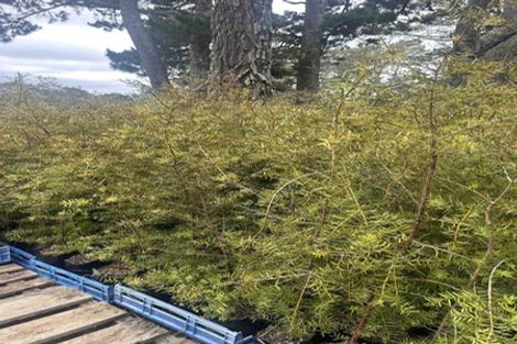 Photo of property in 200 Tawa Road, Kumeu, 0891