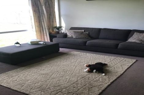 Photo of property in 1/163 Rongotai Road, Rongotai, Wellington, 6022