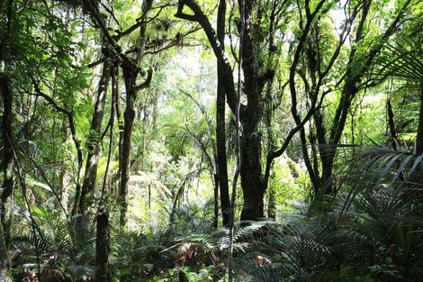 Photo of property in 1052 Wekaweka Road, Waimamaku, Kaikohe, 0473