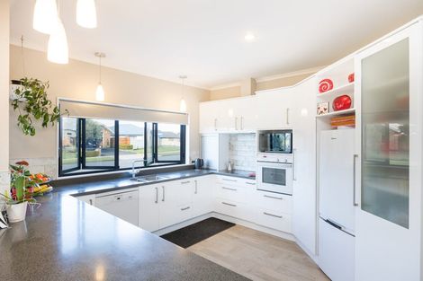 Photo of property in 29 Clearview Drive, Milson, Palmerston North, 4414