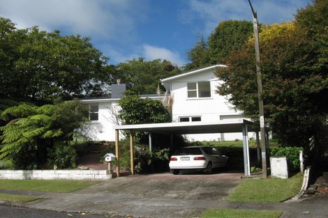 Photo of property in 19 Frances Street, Tirau, 3410