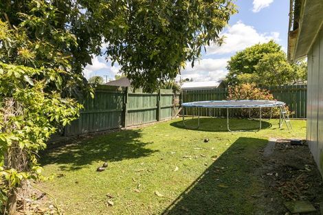 Photo of property in 13 Harlock Place, Huntly, 3700