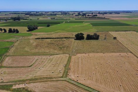 Photo of property in 128 Banks Road, Rongotea, Palmerston North, 4473