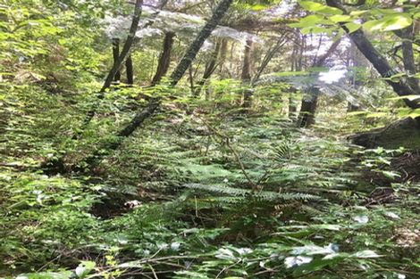 Photo of property in Massey Road, Waipu, 0582