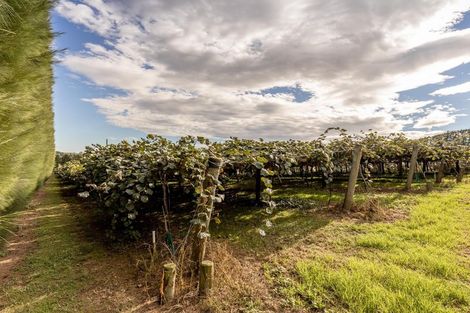 Photo of property in 39 Prole Road, Omokoroa, Tauranga, 3172