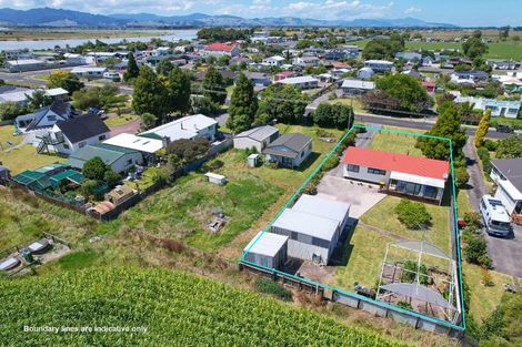 Photo of property in 14 Piako Road, Turua, 3574