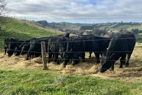 Photo of property in 12 Hepina Heights, Kinloch, Taupo, 3377