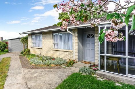 Photo of property in 13 Cowen Place, Chartwell, Hamilton, 3210