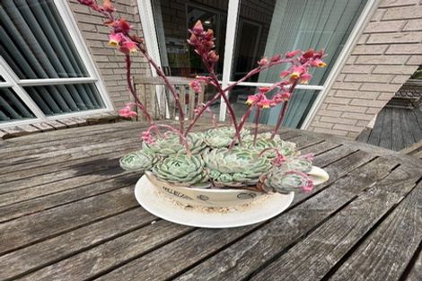 Photo of property in 9 Mariners Way, Whitby, Porirua, 5024