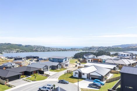 Photo of property in 16 Rotorua Grove, Aotea, Porirua, 5024