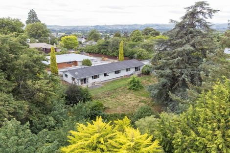 Photo of property in 59 Manuka Street, Lansdowne, Masterton, 5810