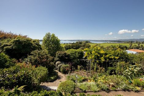 Photo of property in 17 Farnell Court, Omokoroa, 3114