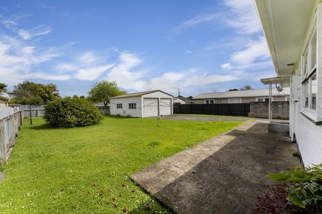 Photo of property in 55 Read Street, Levin, 5510