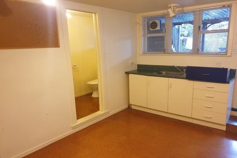 Photo of property in 90 Roxburgh Street, Mount Victoria, Wellington, 6011