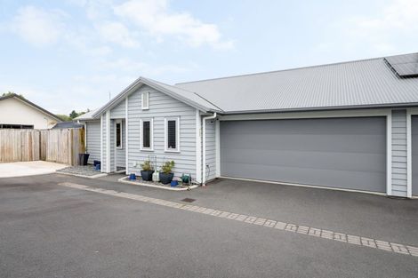 Photo of property in 133 Forest Lake Road, Forest Lake, Hamilton, 3200