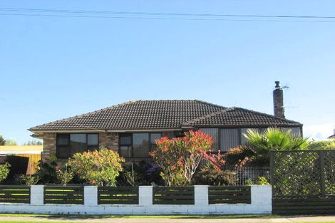 Photo of property in 22 Taniwharau Street, Huntly, 3700