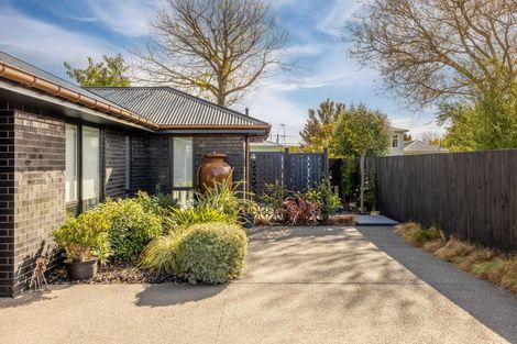 Photo of property in 1/157 Innes Road, St Albans, Christchurch, 8052