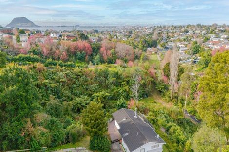 Photo of property in 35 Keilor Road, Otumoetai, Tauranga, 3110