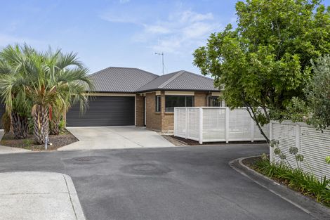 Photo of property in 124a Clarkin Road, Fairfield, Hamilton, 3214