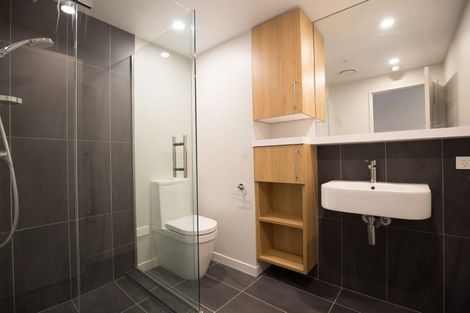Photo of property in Vsp South, 806/168 Victoria Street, Te Aro, Wellington, 6011