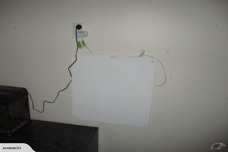 Photo of property in 202 Kirkwood Street, Thames, 3500