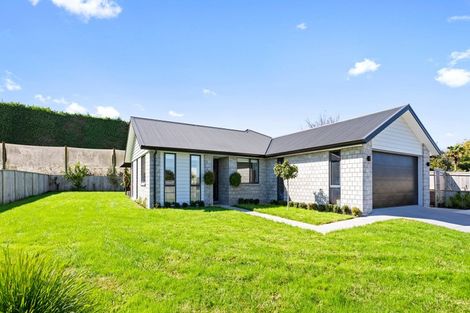 Photo of property in 14 Penelope Place, Pongakawa, Te Puke, 3186