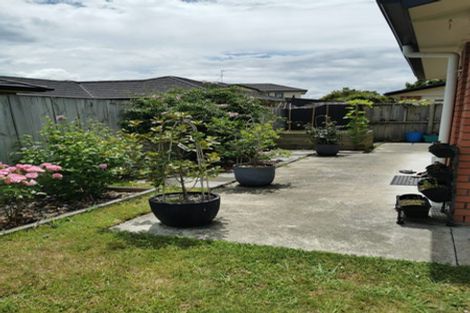 Photo of property in 63 Knighton Road, Hillcrest, Hamilton, 3216