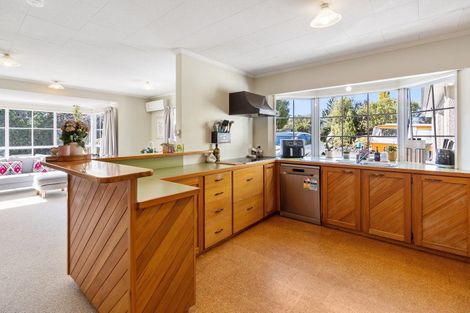 Photo of property in 11 Hillview Place, Pleasant Point, 7903