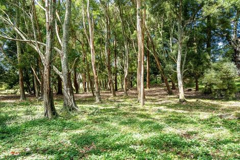 Photo of property in 307 Whananaki North Road, Opuawhanga, Hikurangi, 0181