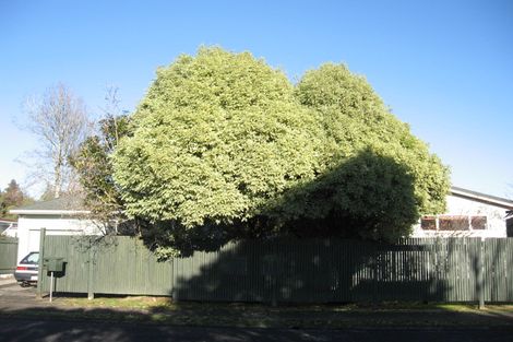 Photo of property in 53 Orchard Avenue, Enderley, Hamilton, 3214