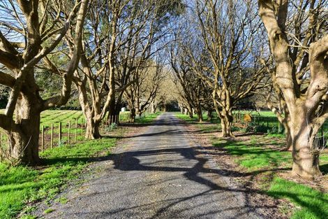 Photo of property in 39a Woodcock Road, Tamahere, Hamilton, 3283