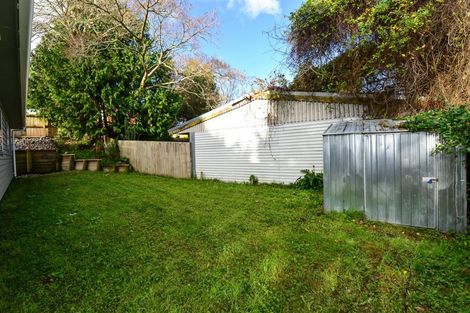 Photo of property in 18a Magee Place, Chartwell, Hamilton, 3210