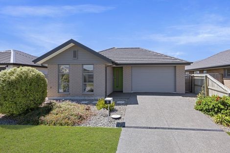 Photo of property in 38 Chert Street, Rolleston, 7614