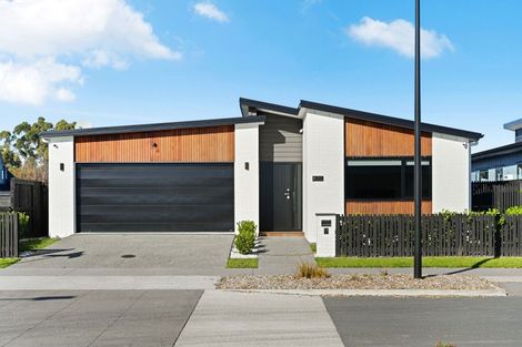Photo of property in 9 Earp Crescent, Chartwell, Hamilton, 3210