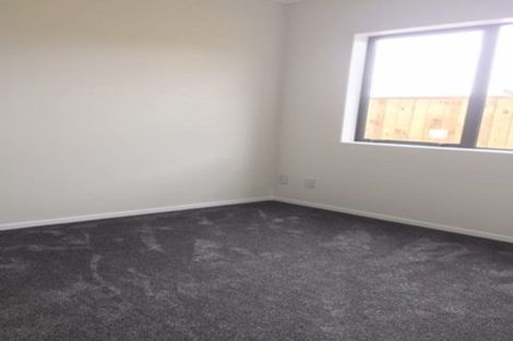 Photo of property in 23 Puoro Street, Flat Bush, Auckland, 2019