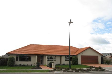 Photo of property in 43 Russell Robertson Drive, Havelock North, 4130