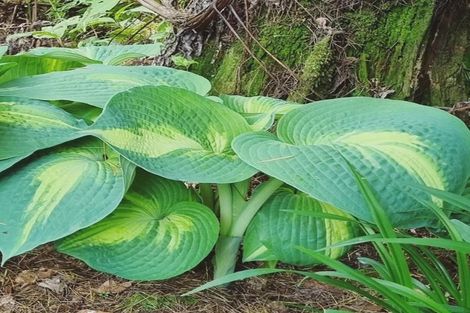 Photo of property in 4003 State Highway 4, Ongarue, 3997