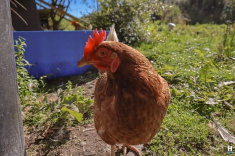 Photo of property in 481 Main Road, Kaiata, Greymouth, 7805