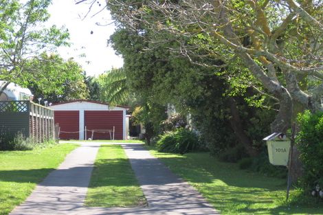 Photo of property in 101a Birrell Street, Elgin, Gisborne, 4010