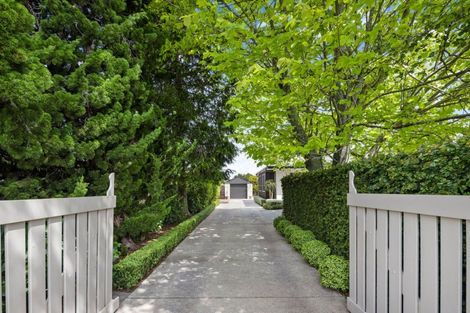 Photo of property in 8 Bailey Avenue, Claudelands, Hamilton, 3214